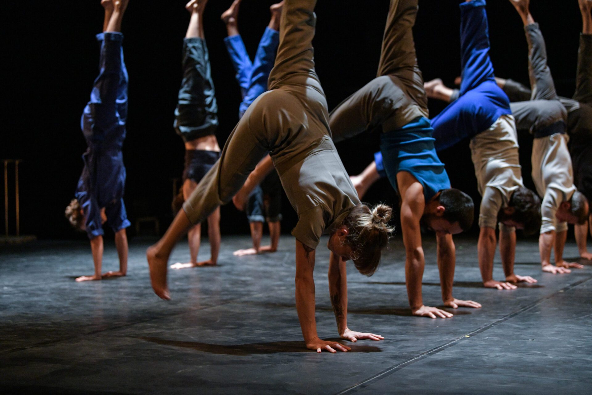 LE COMPLEXE DE L’AUTRUCHE · cirque
