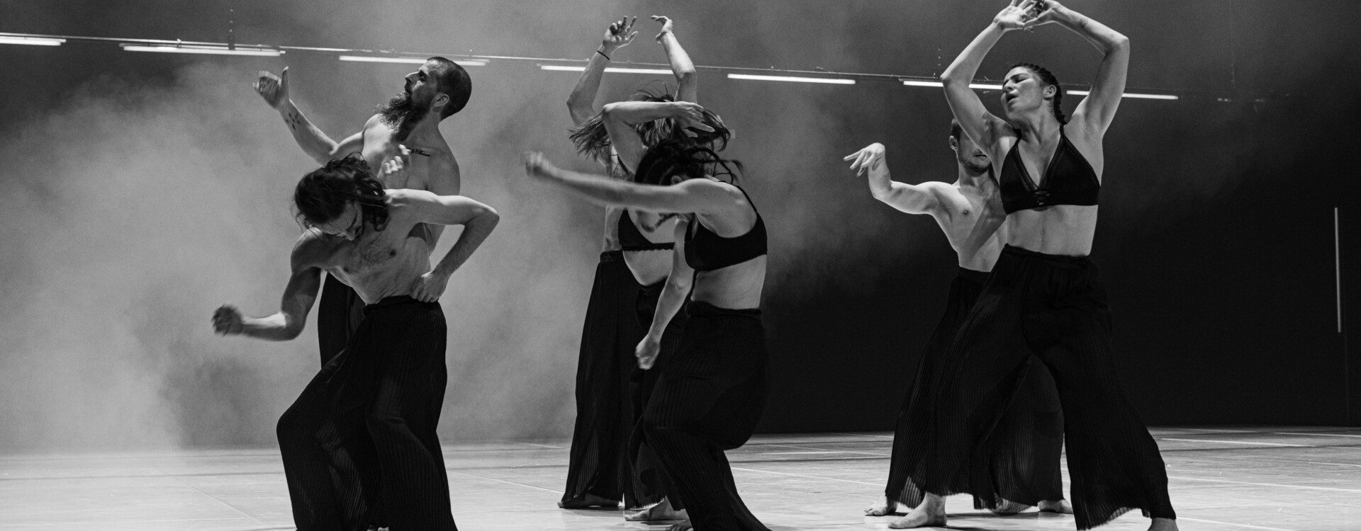 DIVIDUS • Cie Ayaghma