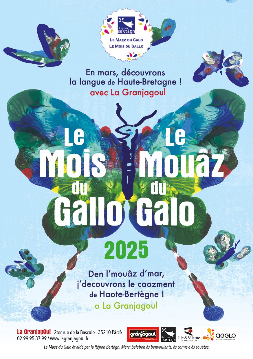 moisgallo25 web